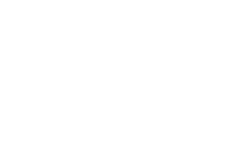 Logo white
